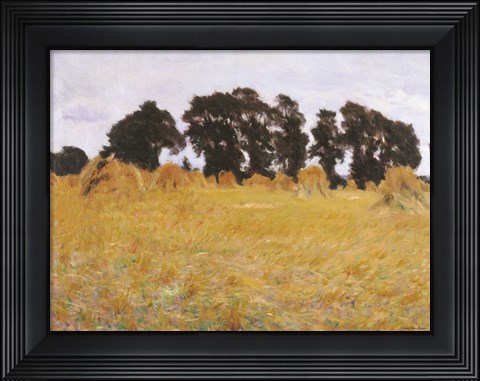 Framed Field Print