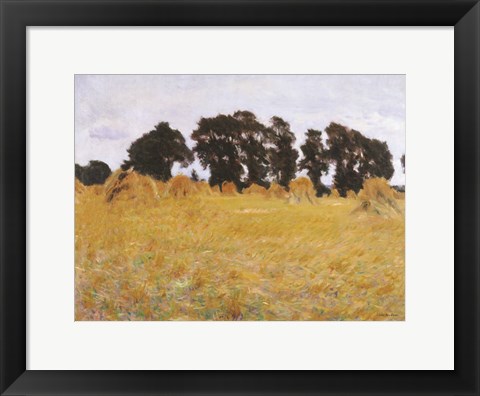 Framed Field Print