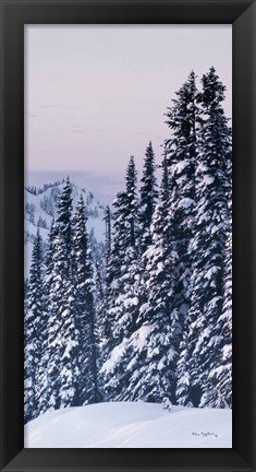 Framed Tatoosh Range Panel III Print