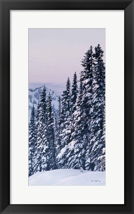 Framed Tatoosh Range Panel III Print