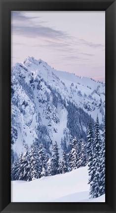 Framed Tatoosh Range Triptych II Print