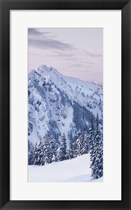 Framed Tatoosh Range Triptych II Print