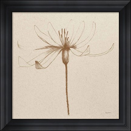 Framed Modern Vintage Floral III Print