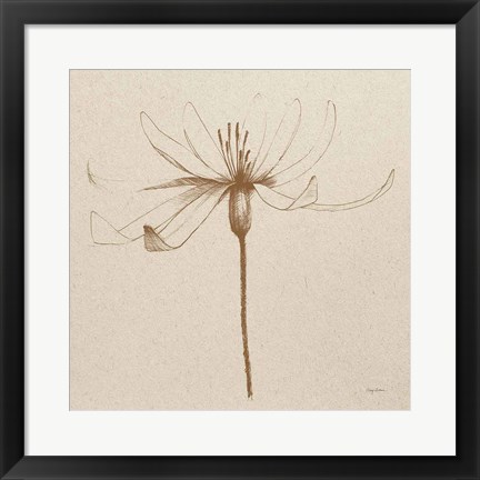 Framed Modern Vintage Floral III Print