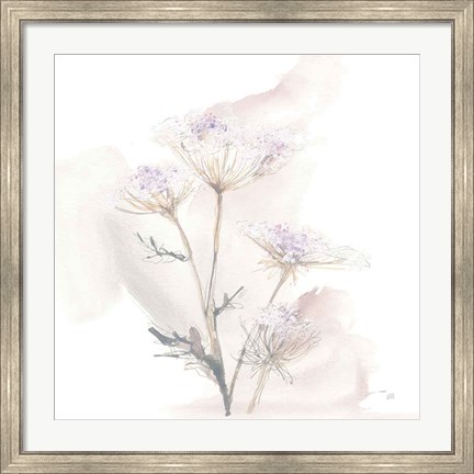 Framed Queen Annes Lace VI Print