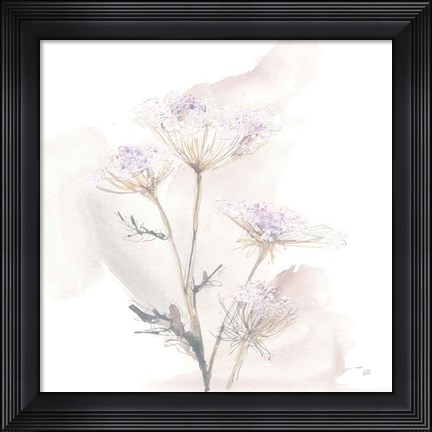 Framed Queen Annes Lace VI Print