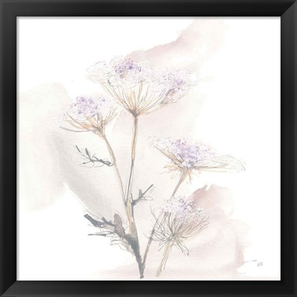 Framed Queen Annes Lace VI Print