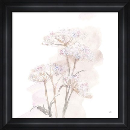 Framed Queen Annes Lace V Print