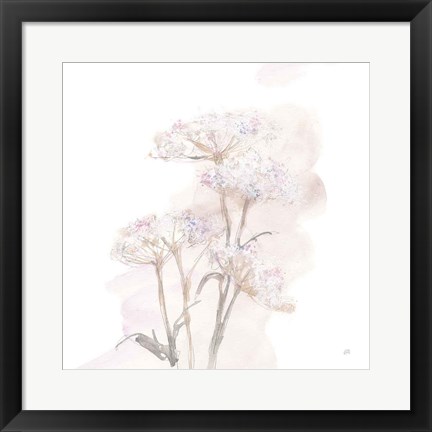 Framed Queen Annes Lace V Print
