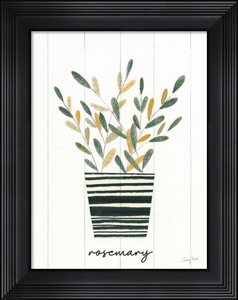 Framed Herb Garden V Print