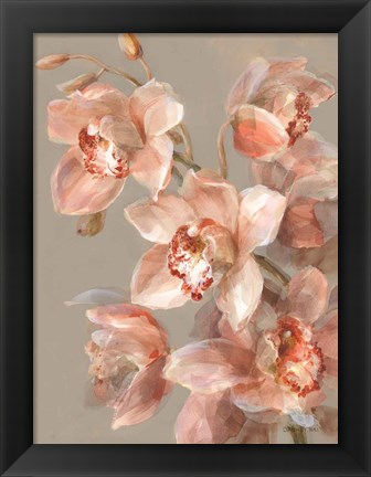 Framed Delicate Orchid II Print