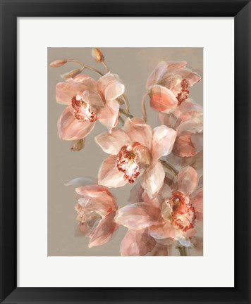 Framed Delicate Orchid II Print