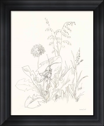 Framed Nature Sketchbook VII Print
