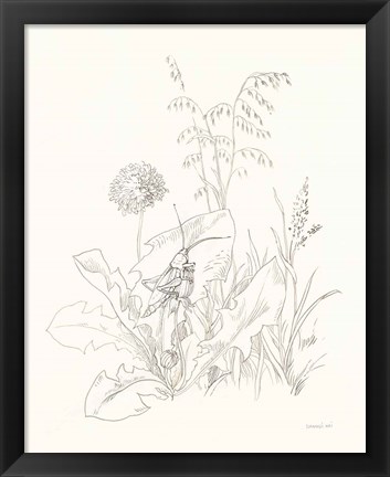 Framed Nature Sketchbook VII Print