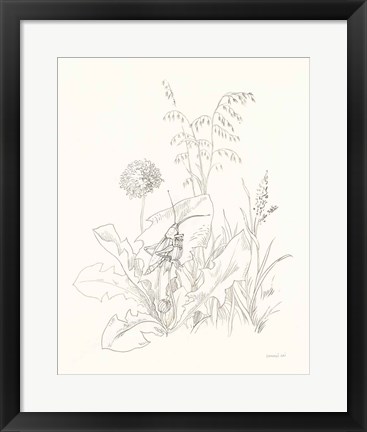 Framed Nature Sketchbook VII Print