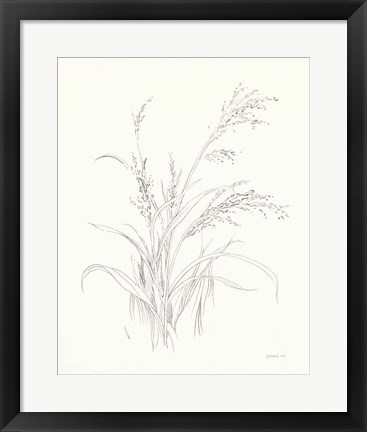 Framed Nature Sketchbook V Print