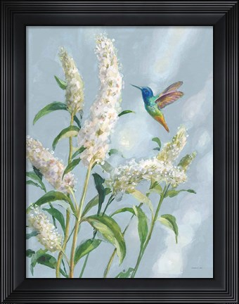 Framed Hummingbird Spring II Soft Blue Print
