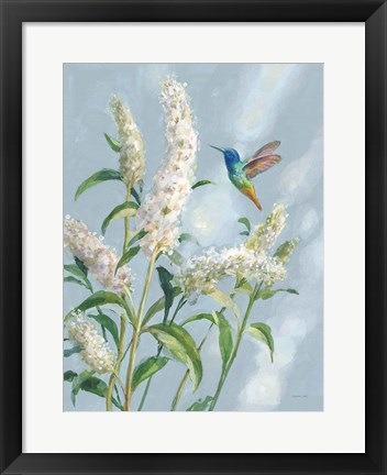 Framed Hummingbird Spring II Soft Blue Print