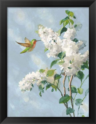 Framed Hummingbird Spring I Soft Blue Print