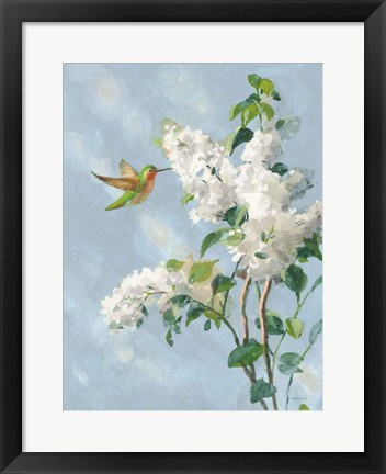 Framed Hummingbird Spring I Soft Blue Print