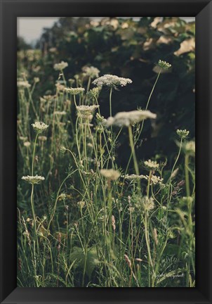 Framed Running Wild II Print