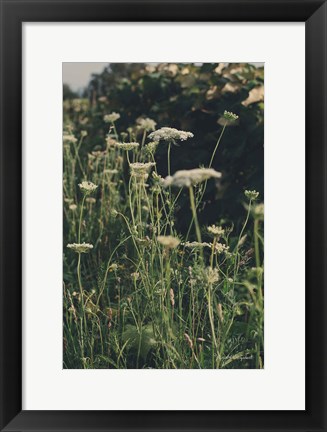 Framed Running Wild II Print