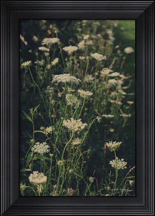 Framed Running Wild I Print