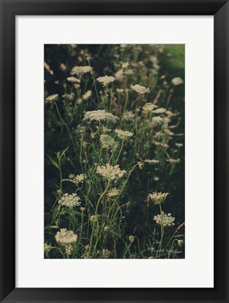 Framed Running Wild I Print