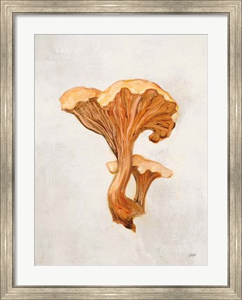 Framed Woodland Mushroom IV Print