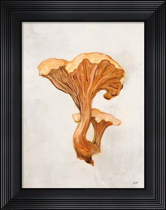 Framed Woodland Mushroom IV Print