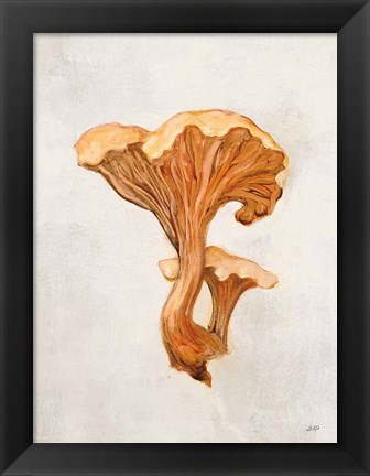 Framed Woodland Mushroom IV Print