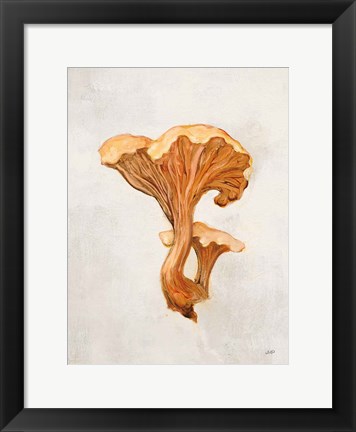 Framed Woodland Mushroom IV Print