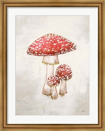 Framed Woodland Mushroom II Print