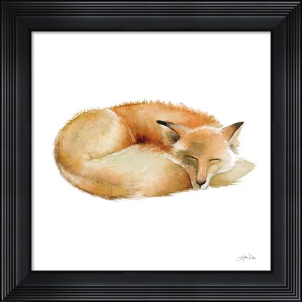 Framed Sleeping Fox on White Print