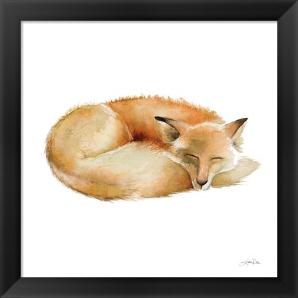 Framed Sleeping Fox on White Print