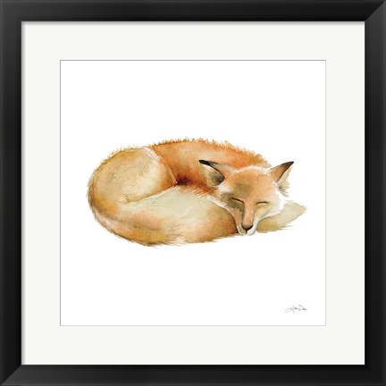 Framed Sleeping Fox on White Print