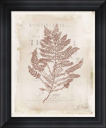 Framed Sea Garden III Brown Print