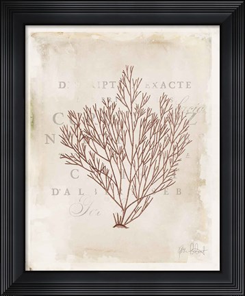 Framed Sea Garden II Brown Print