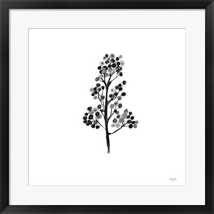 Framed Botticelli Plant IV Black Print