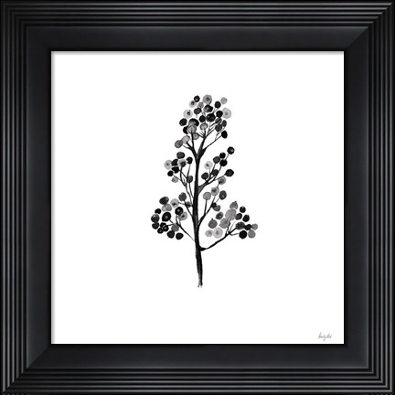 Framed Botticelli Plant IV Black Print