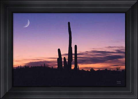 Framed Desert Moons Print
