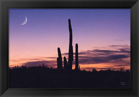 Framed Desert Moons Print