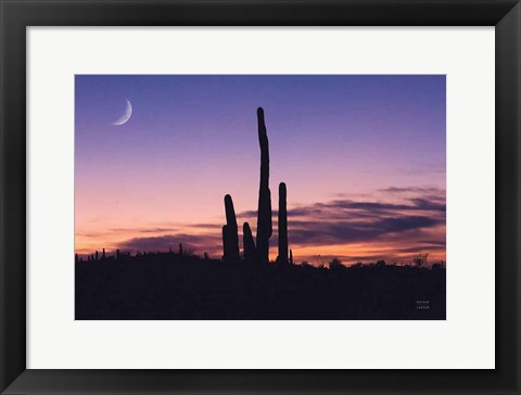 Framed Desert Moons Print