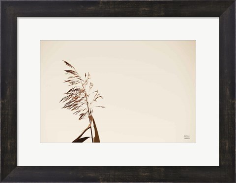 Framed Summer Reeds IV Print