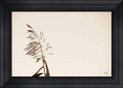 Framed Summer Reeds IV Print