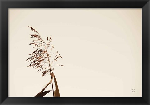 Framed Summer Reeds IV Print