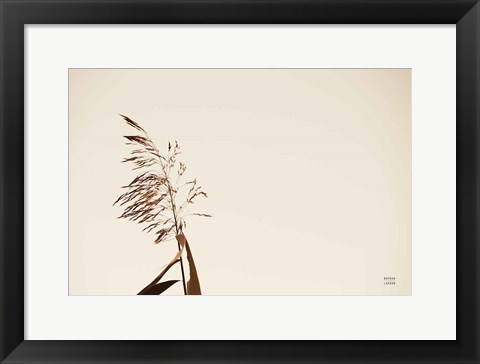 Framed Summer Reeds IV Print