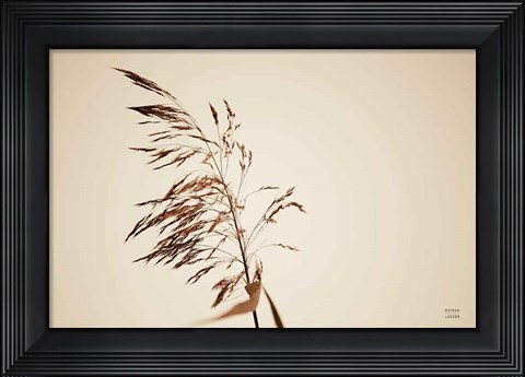 Framed Summer Reeds III Print