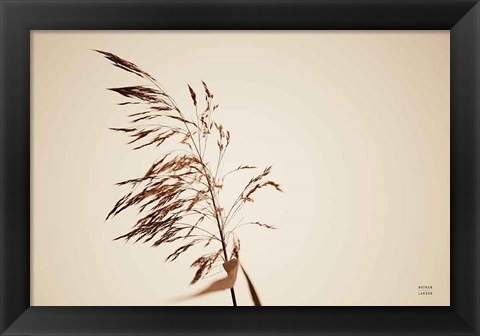 Framed Summer Reeds III Print