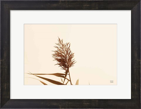 Framed Summer Reeds I Print
